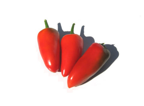 Lunch Box Red Pepper