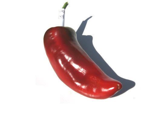 Marconi Red Pepper