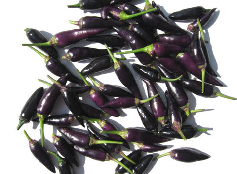 Cayenne Purple Chilli
