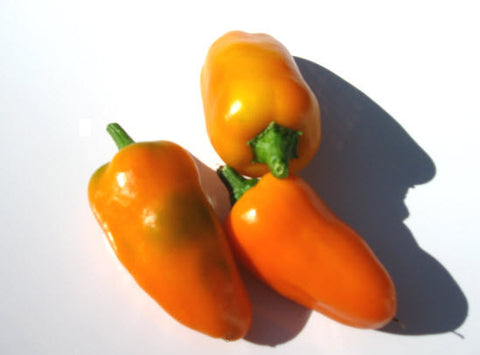 Mini Yellow Stuffing Pepper