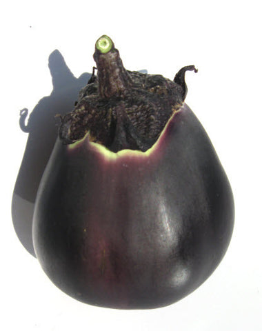 Kamo Eggplant