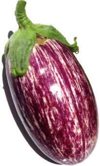 Listada De Gandia Eggplant