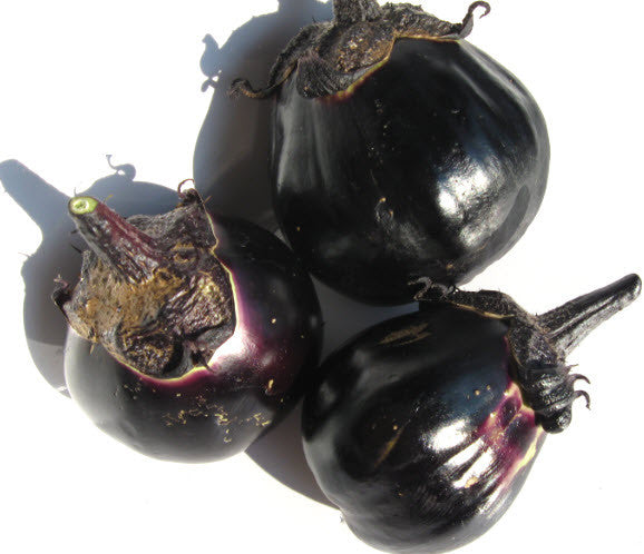 Mitoyo Eggplant