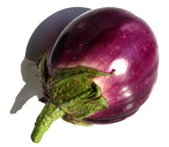 Rotonda Bianca Stumata di Rosa Eggplant