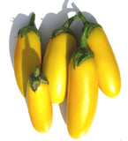 Yellow Finger Eggplant