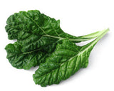 Fordhook Giant Swiss Chard