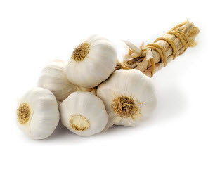 Persian White Garlic