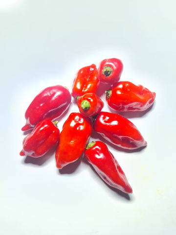 Naga Morich Chili