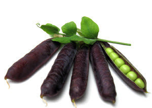 Purple Podded Peas