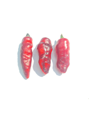 Pimente Leopard Chili