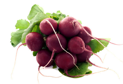 Purple Plum Radish