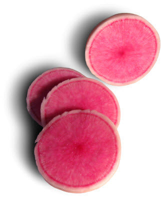 Watermelon Radish