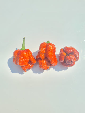 Riot Flame Chili