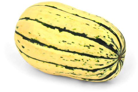 Delicata Squash