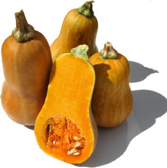 Honey Nut Squash