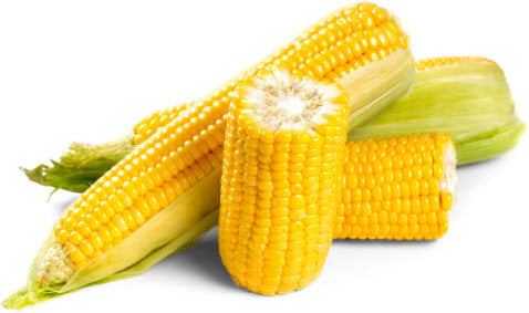 Gladiator Corn