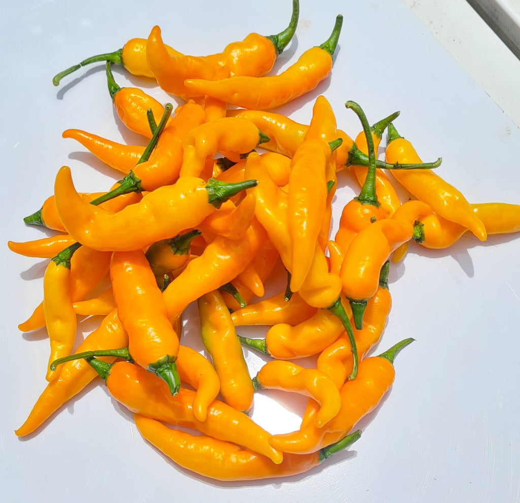 Thai Orange Chili