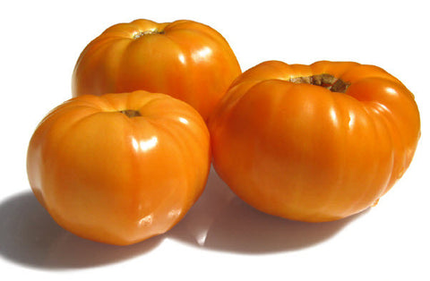 Amana Orange Tomato