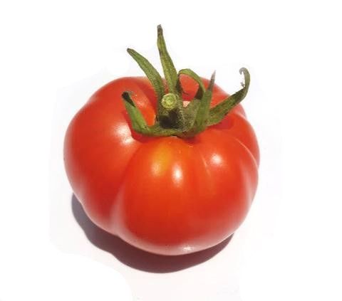 Atlantic Prize Tomato