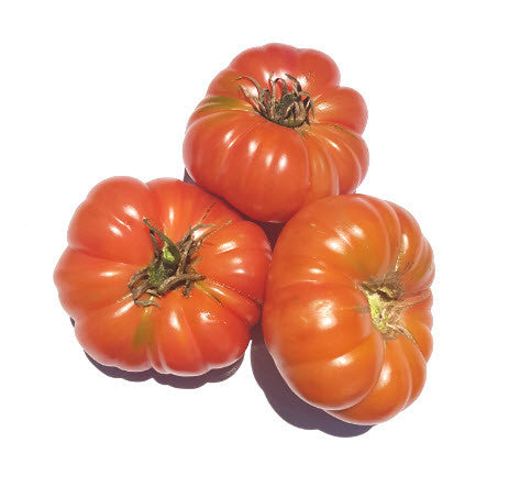 Bali Tomato