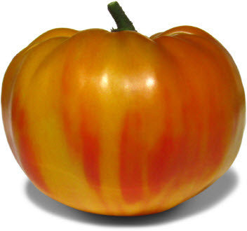 Big Rainbow Tomato