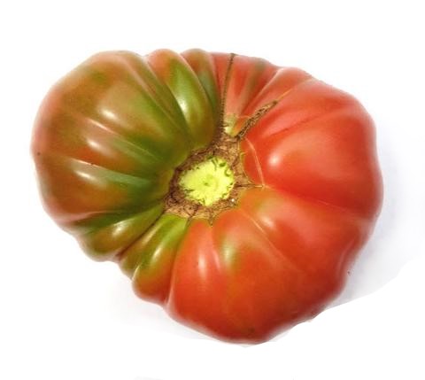 Pink Df Tomatoes – Page 2 – Glen Seeds