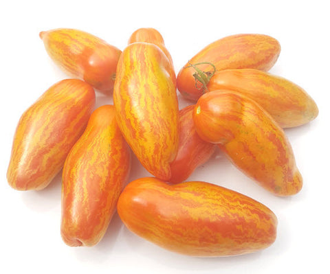 Cassidy's Folly Tomato – Glen Seeds