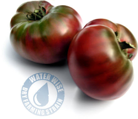 Cherokee Purple DF Tomato