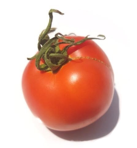 Cold Set Tomato
