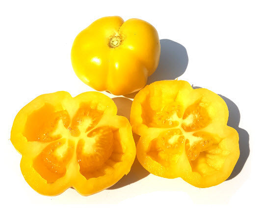 Douchova Pepper Tomato