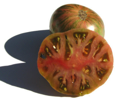 Dwarf Freds Tie Dye Tomato