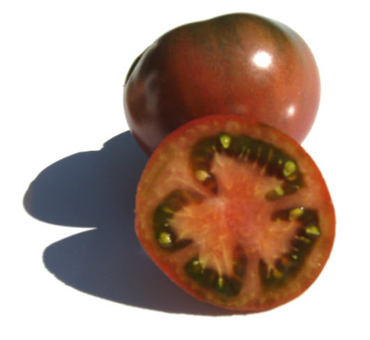 Dwarf Perth Pride Tomato