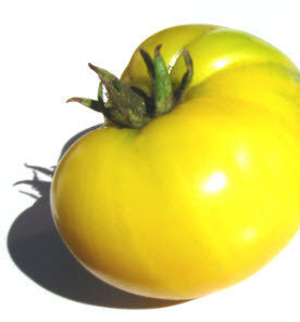 Dwarf Seans Yellow Tomato