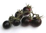 Fahrenheit Blues Tomato