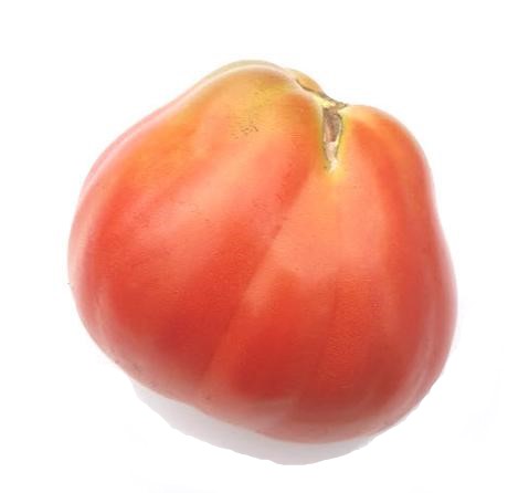 Goldman's Italian American Tomato