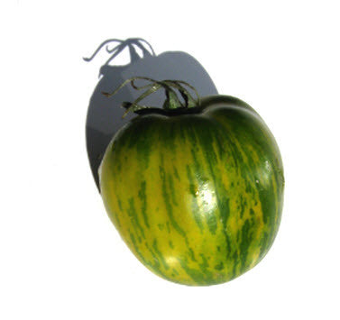Green Bell Pepper Tomato