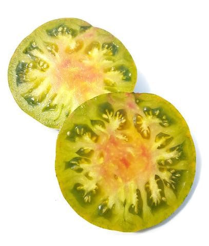 Green Copia Tomato