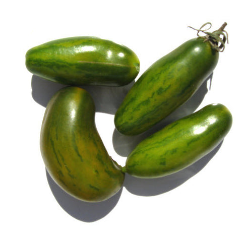 Green Sausage Tomato