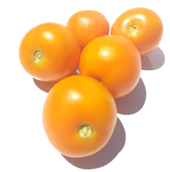 Orange Favourite Tomato
