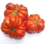 Petrillo Tomato