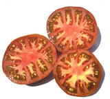 Berkeley Pink Tie Dye Tomato