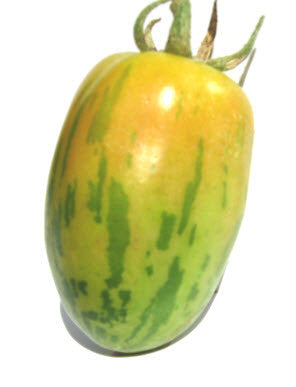 Plum Tigris Tomato