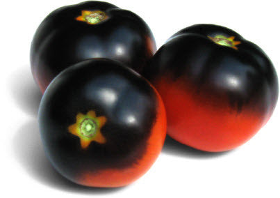 Purple Perfection Tomato