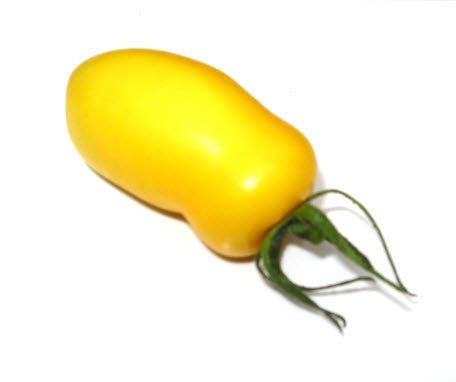 Roman Candle Tomato