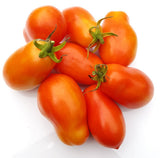 Royal Chico Tomato