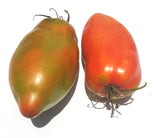San Marzano Redorta Tomato