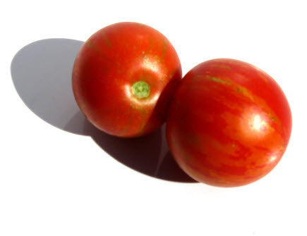 Silvery Fir Tree Tomato