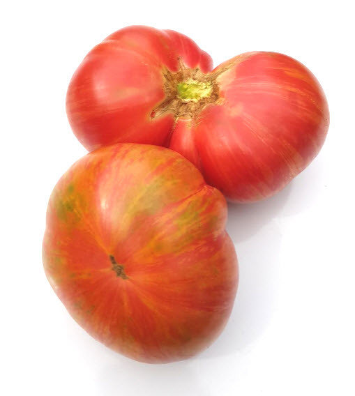 Solar Flair Tomato