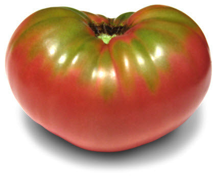 Stump of the World Tomato