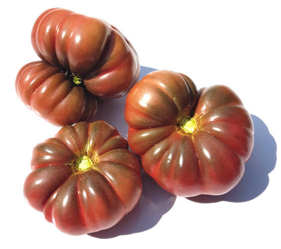 Tim's Black Ruffles Tomato – Glen Seeds